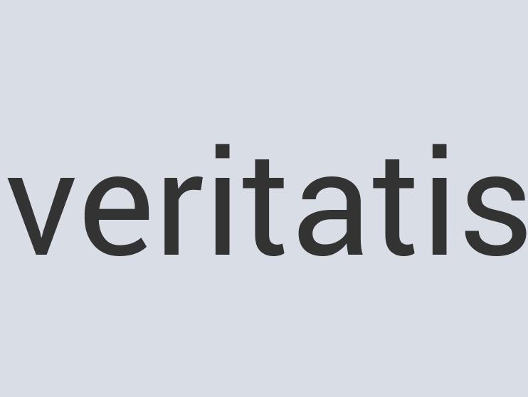 Aerodynamic Iron eVe