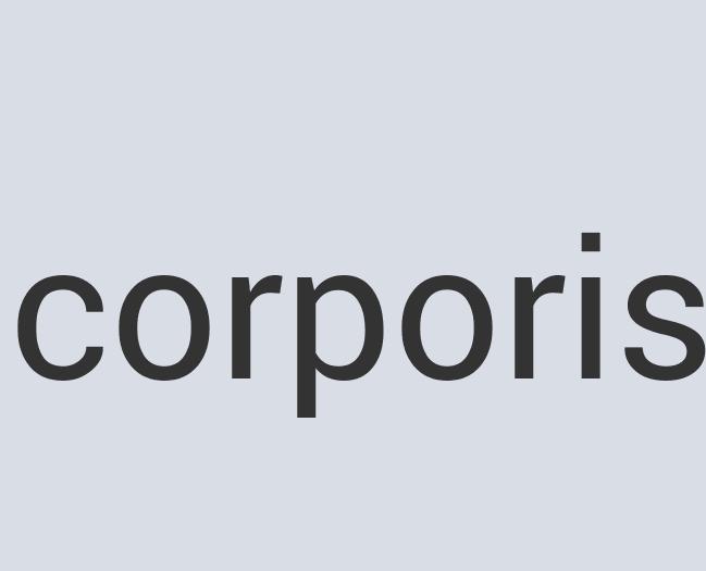 Aerodynamic Granite eVe